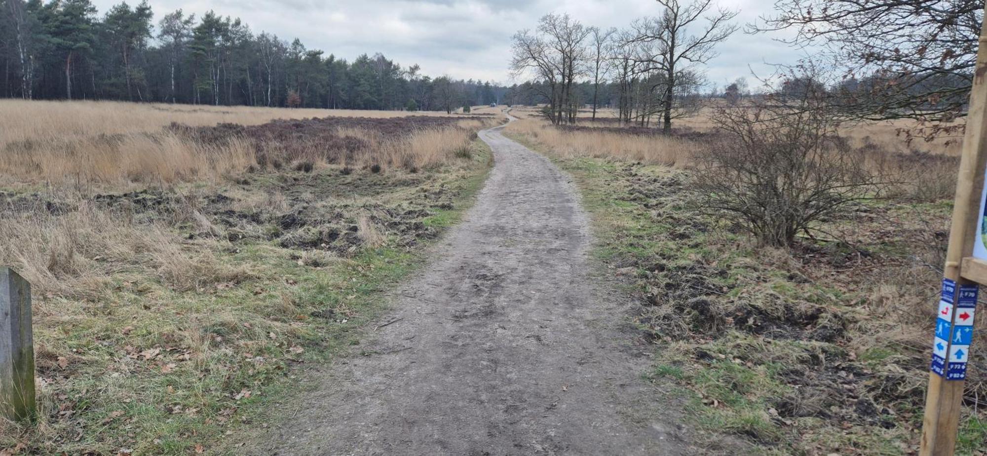 Het Veluwse Boshuisje Knus Chalet Met Omheinde Tuin Op De Veluwe Hoenderloo Ngoại thất bức ảnh