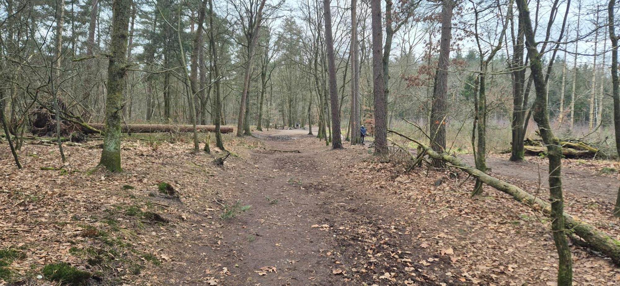 Het Veluwse Boshuisje Knus Chalet Met Omheinde Tuin Op De Veluwe Hoenderloo Ngoại thất bức ảnh