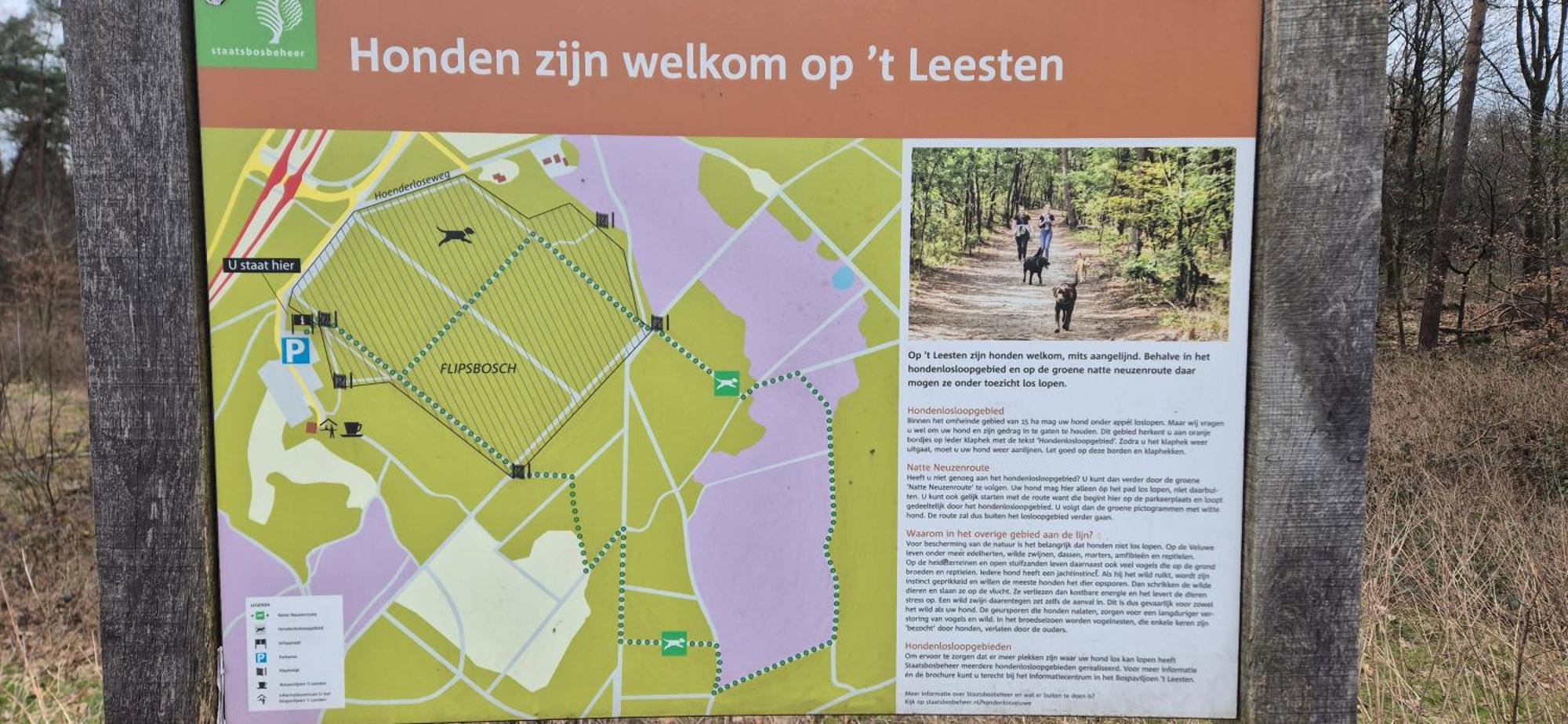 Het Veluwse Boshuisje Knus Chalet Met Omheinde Tuin Op De Veluwe Hoenderloo Ngoại thất bức ảnh