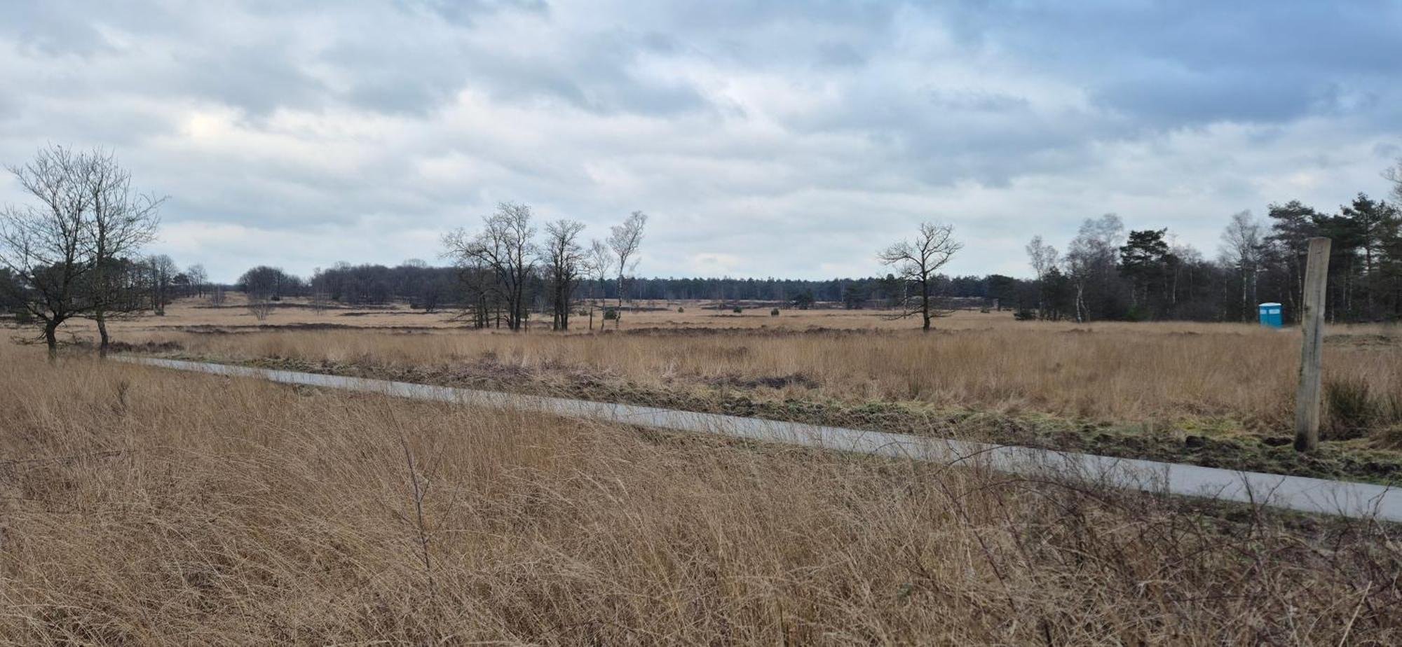 Het Veluwse Boshuisje Knus Chalet Met Omheinde Tuin Op De Veluwe Hoenderloo Ngoại thất bức ảnh